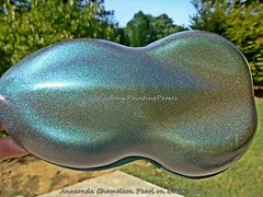 Anaconda Chameleon Pearl Pigment Automovtive Auto Lacquer HOK Nail Pearls