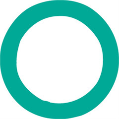 4193FJC O RING