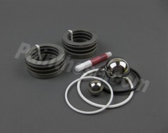 Bedford 20-2396 Pump Repair Kit for Titan Speeflo 245-050