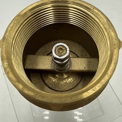 Homewerks Worldwide Spring Check Valve 241-2-2-2 2 in. Lead Free Brass FIP FIP