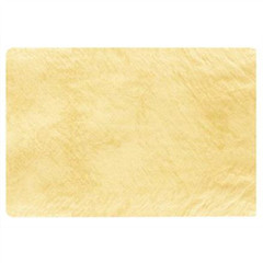 SMA.WSY5-1 S.M. Arnold SPEEDY DRIER XL WSY5 – 1 Drying Cloth – 5.38 sq – ft