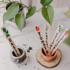 Eco-Friendly 12 Inch Wooden Mixing Sticks, Great for DIY and School Projects