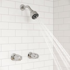 Pfister Shower Trim Kit, Valve and Cartridge Included, 2-Handle, Metal Knob Hand