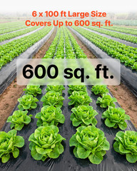 4 Mil Plastic Sheeting 6×100 ft Heavy Duty Black Poly Tarp Roll Vapor Barrier