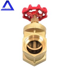 2″ Female NPT DN50 Non Rising Stem Brass Gate Valve Manual Rotary Sluice Valve